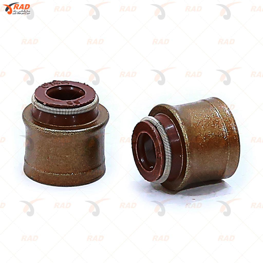 لاستیک سوپاپ پراید سی بی اس تایوان (361)